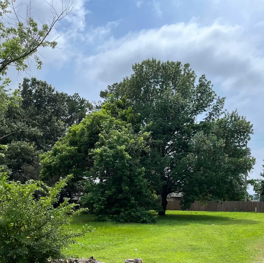 619 Clement Lane, Gosnell, AR 72315 - Image #3