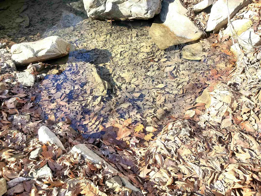 00 Witt Springs, Mount Pleasant, AR 72650 - #3