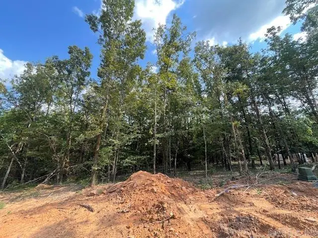 19 Sky Eagle Drive, Greenbrier, AR 72058 - Image #2