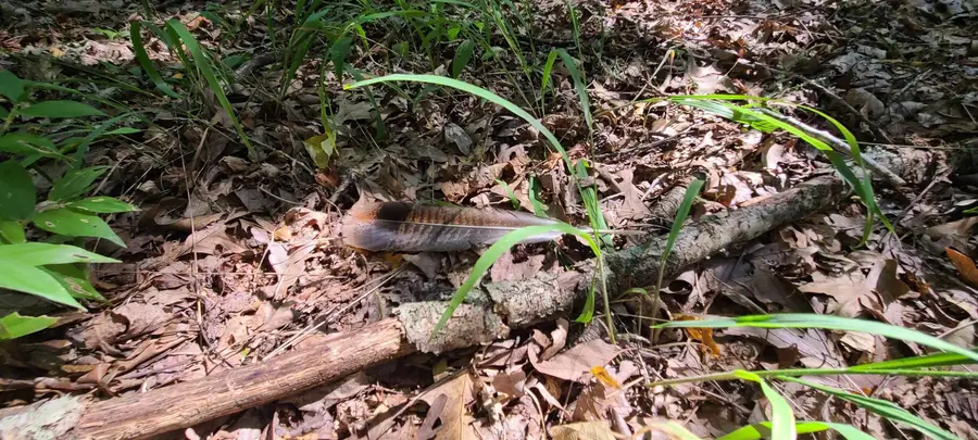 000 County Road 300, Cherry Valley, AR 72324 - Image #2