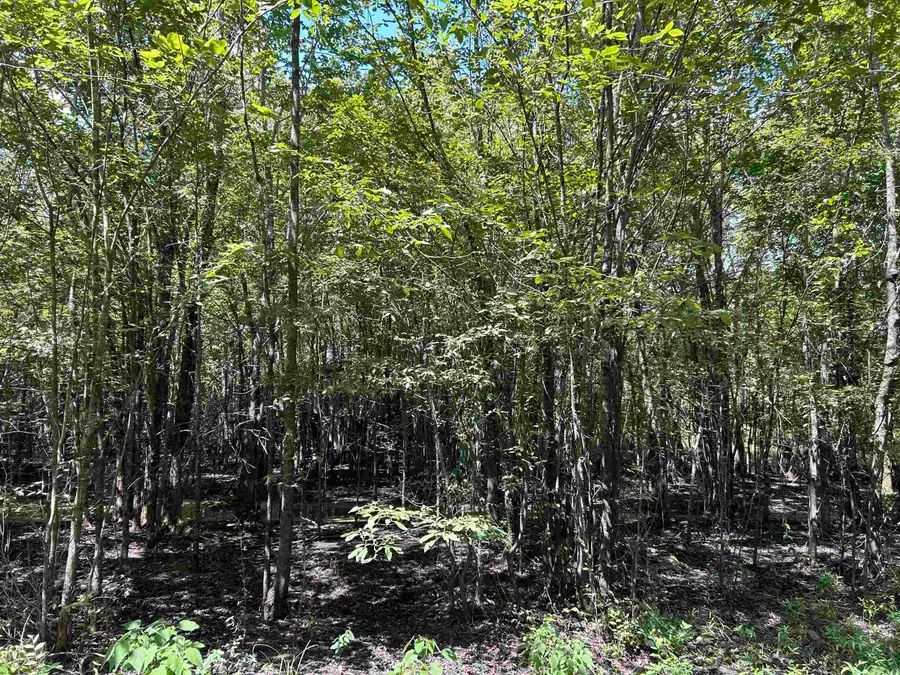 0 Padgett Rd, Pine City, AR 72069 - Image #2