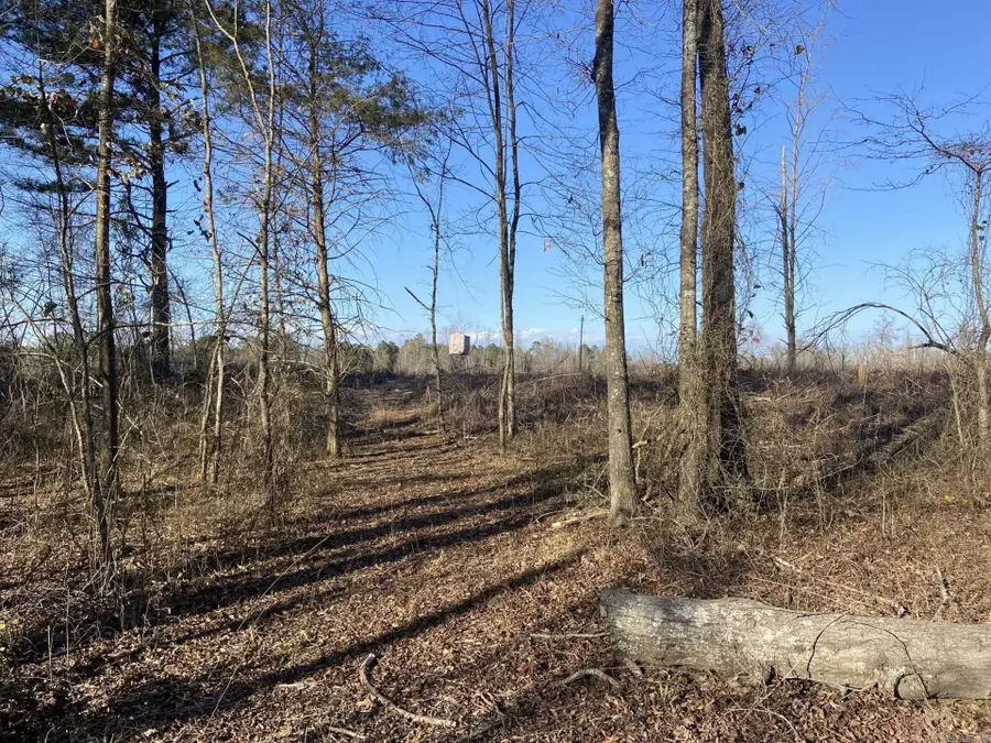 Address Withheld By Seller, Ozan, AR 71855 - Image #3