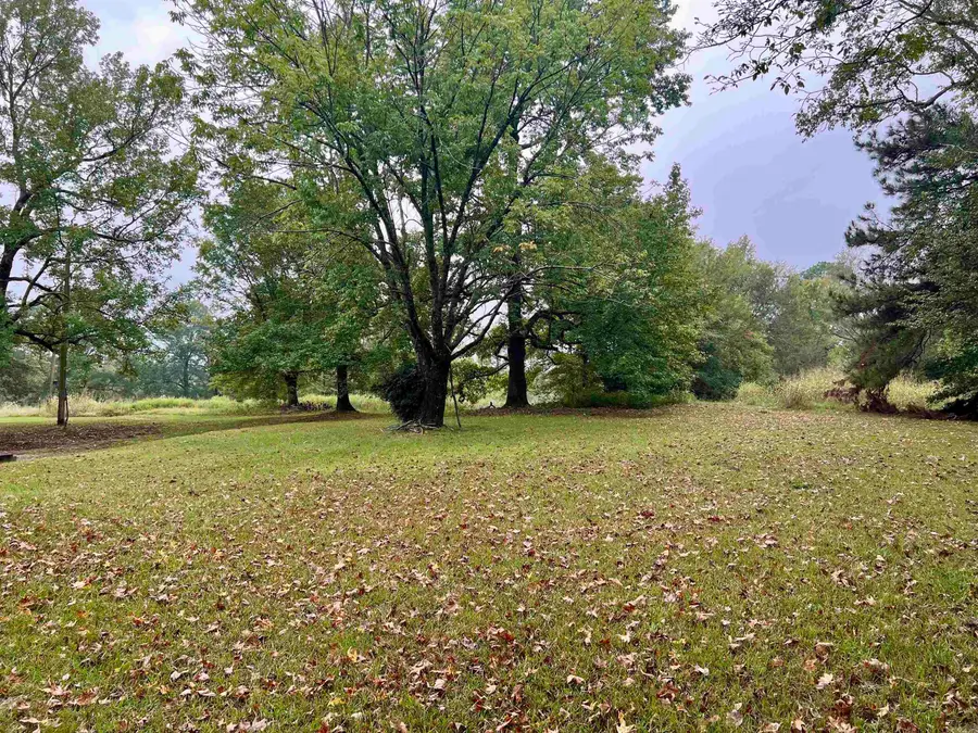 1457 Mt View Road, Glenwood, AR 71943 - Image #3