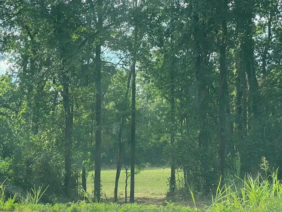 Lt 12 Southfork Hwy 27 North Highway, Story, AR 71970 - Image #2