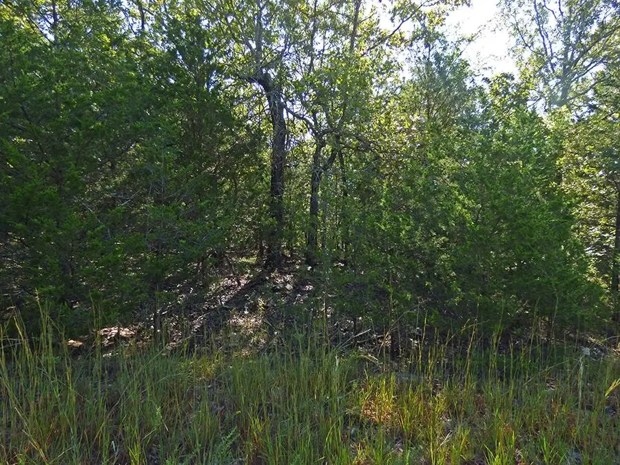 Diamond Cove Lane, Horseshoe Bend, AR 72512 - #1