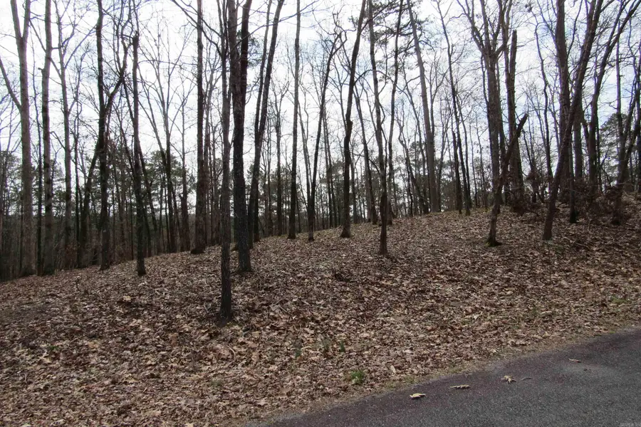 lot 1667A-1671A Weschester Court, Hot Springs, AR 71913 - Image #3