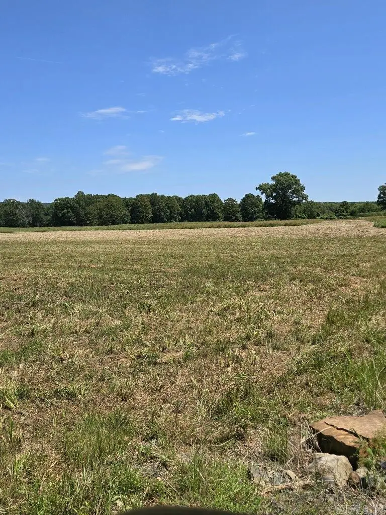 000 Lollie Road, Mayflower, AR 72106 - #3
