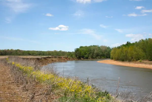 60 Acres Law 216, Black Rock, AR 72415