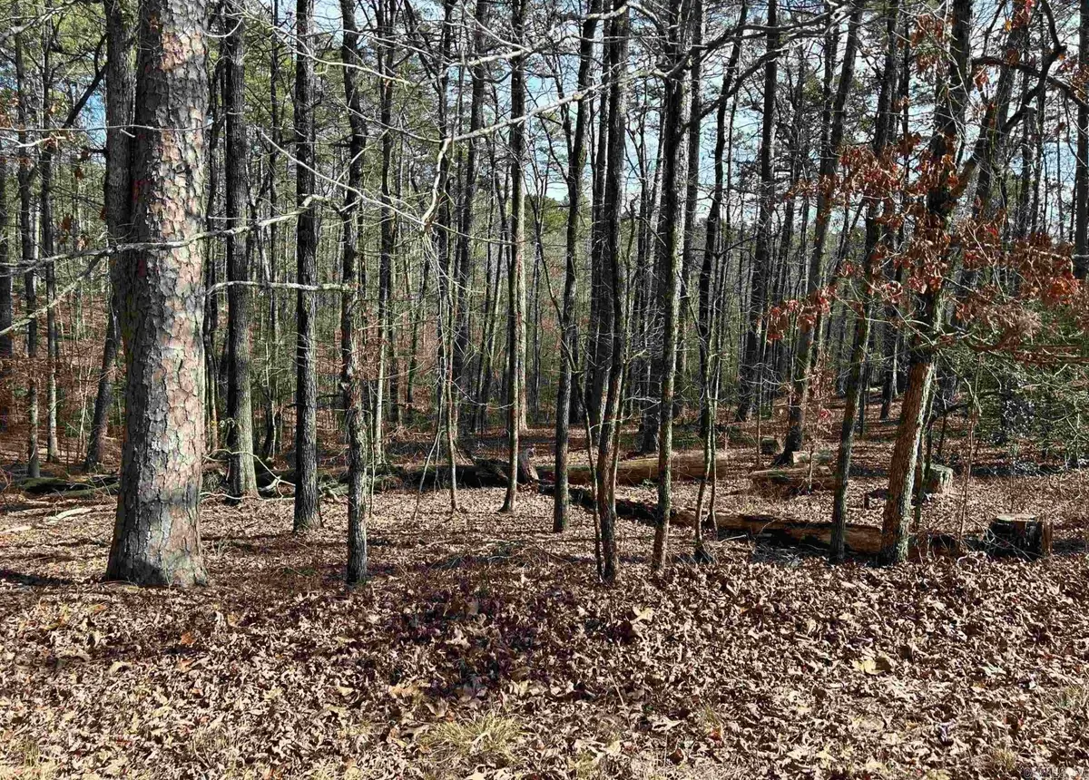 TBD La Janda Circle, Hot Springs Village, AR 71909 - Image #1