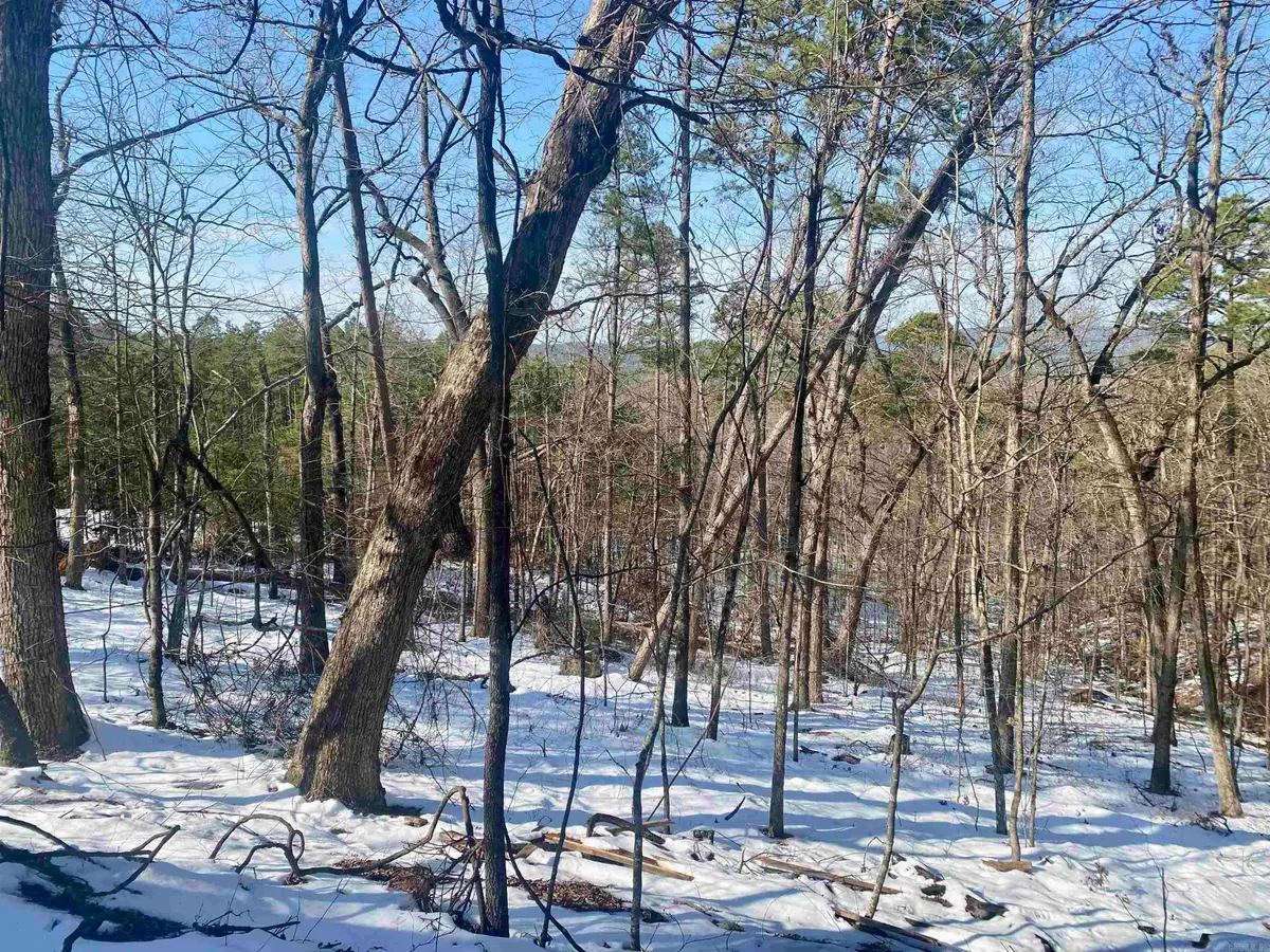 77 Montanoso Way, Hot Springs Village, AR 71909 - Image #1