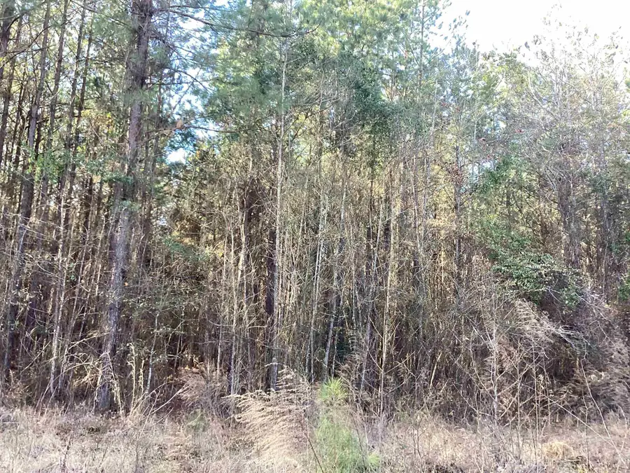 #3