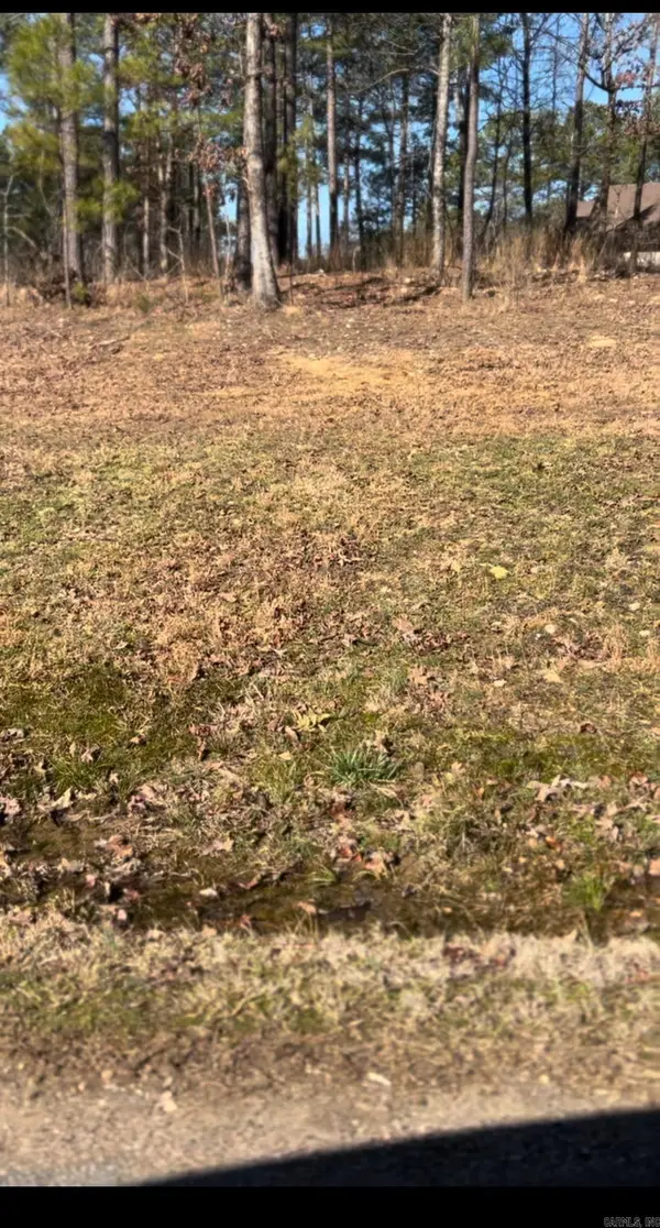 1432 Saint Andrews, Hot Springs, AR 71913