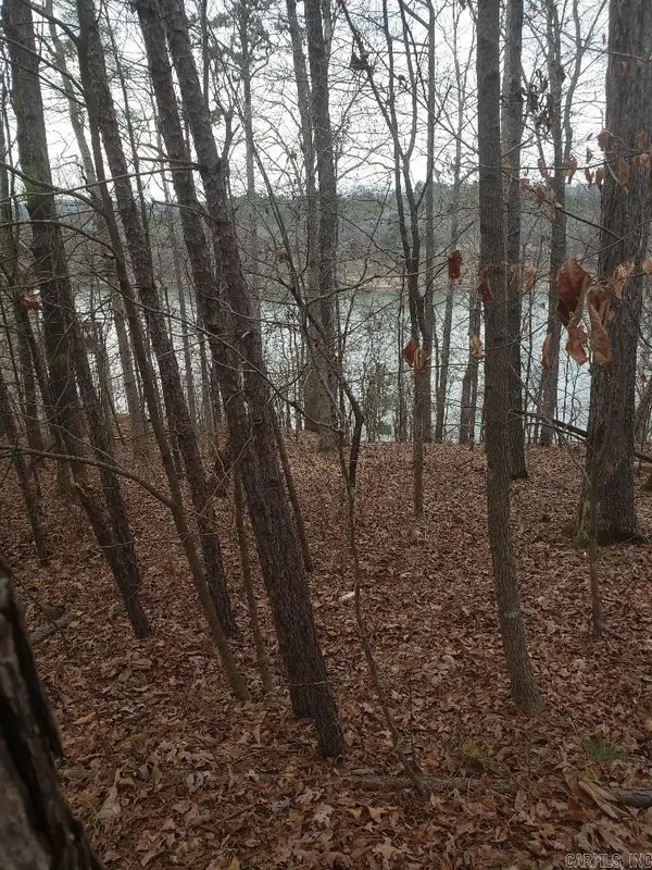 Address Withheld By Seller, Hot Springs, AR 71913