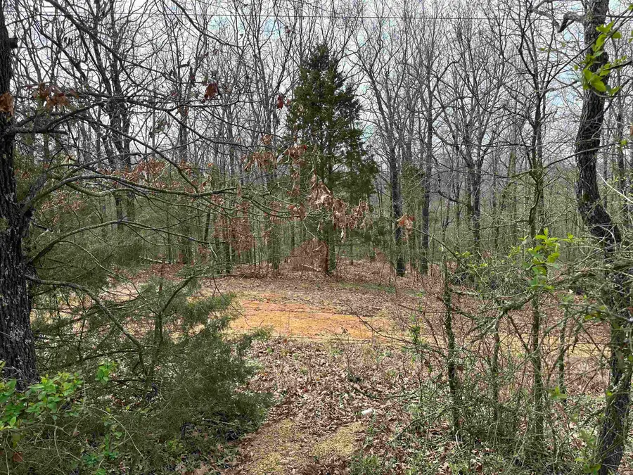 Lot 4 Raby Road, Harrisburg, AR 72432 - Image #2
