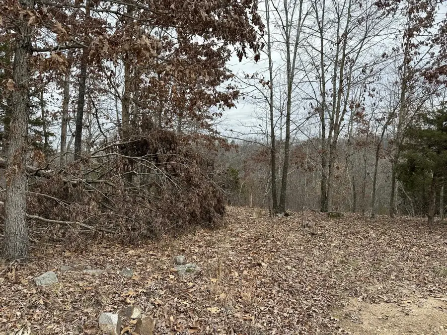 Lot 3 Deer Meadows Lane, Yellville, AR 72687 - Image #2