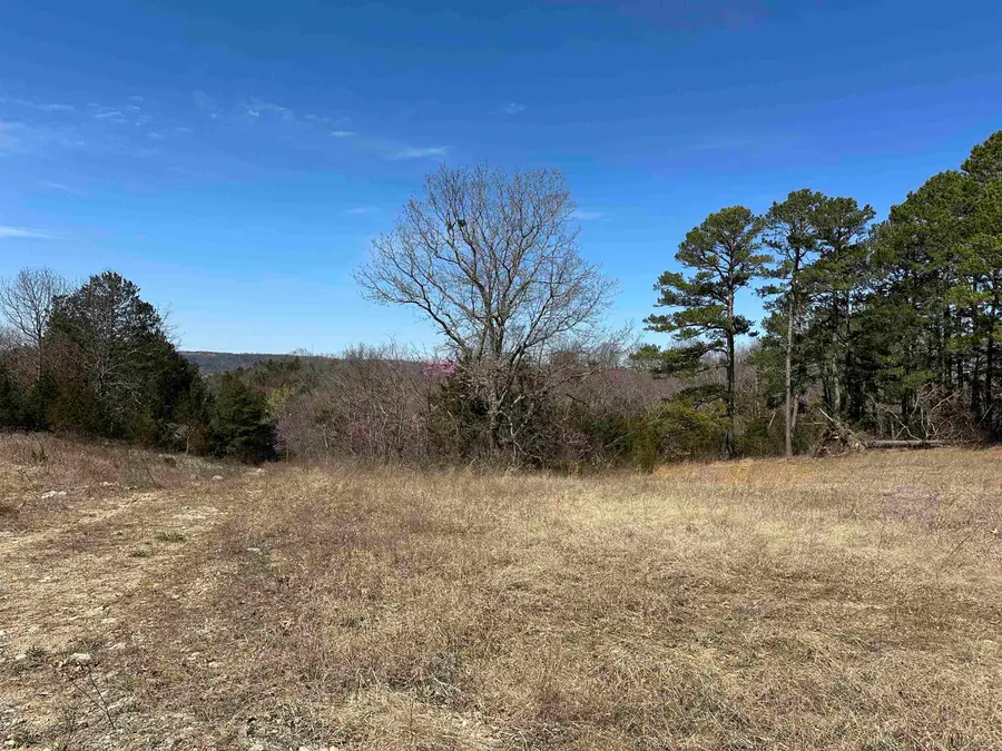 Lot 3 Deer Meadows Lane, Yellville, AR 72687 - Image #3