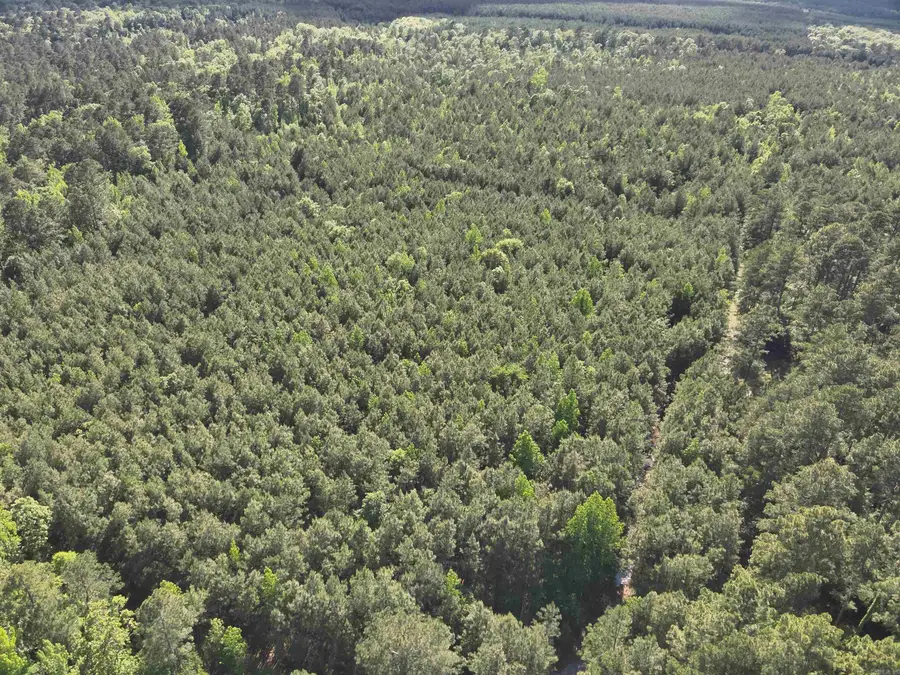 1 West Ouachita Hwy 7, Owen, AR 71726 - #2