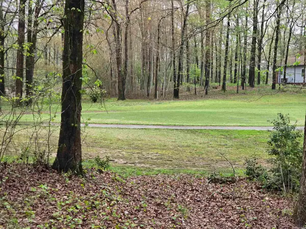 Lot 1663 Pebble Beach Drive, Hot Springs, AR 71913