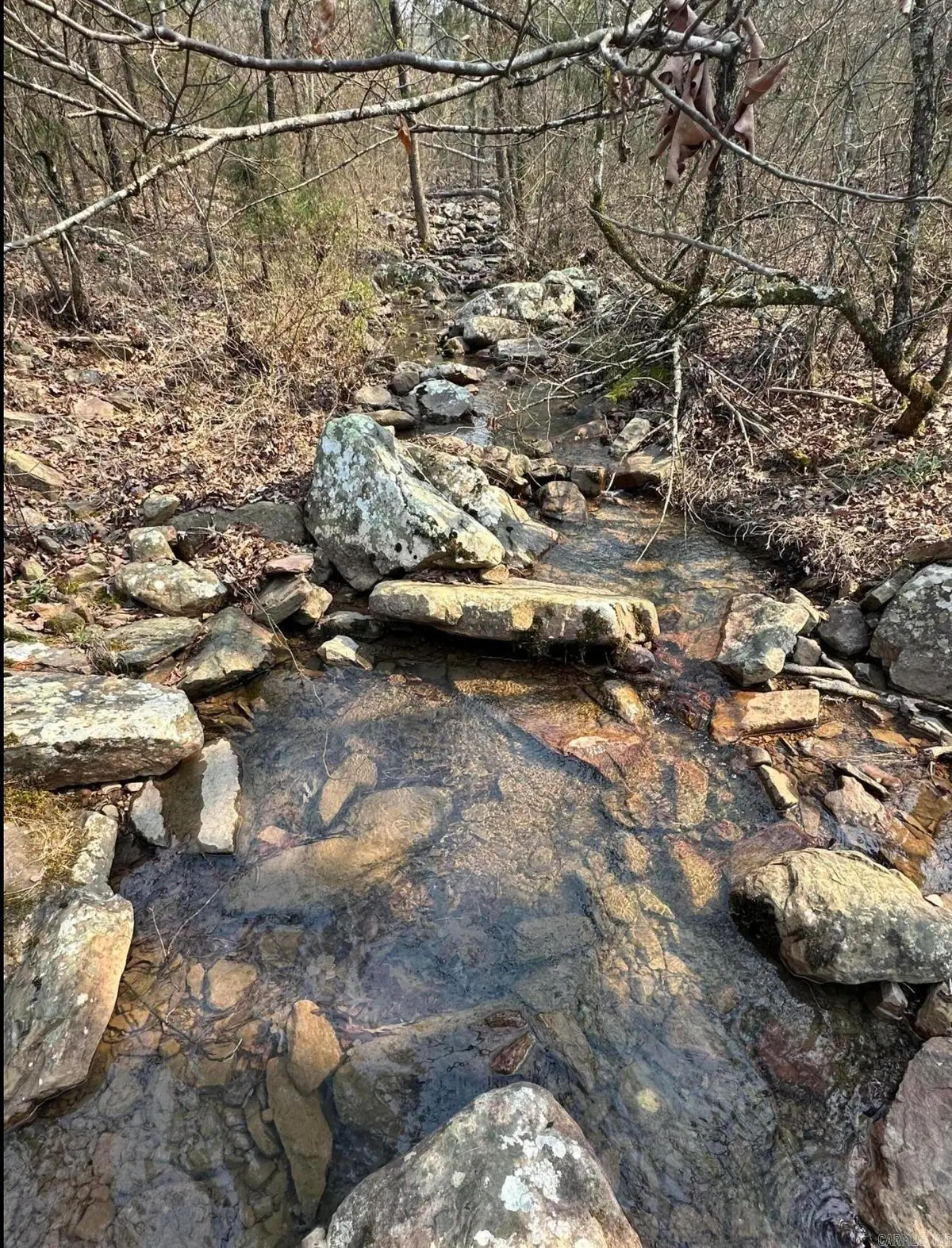 Cold Springs Road, Waldron, AR 72958 - Image #1