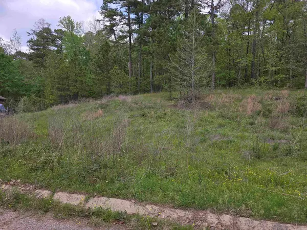 Lot 14 Blue Moon Terrace, Hot Springs, AR 71913