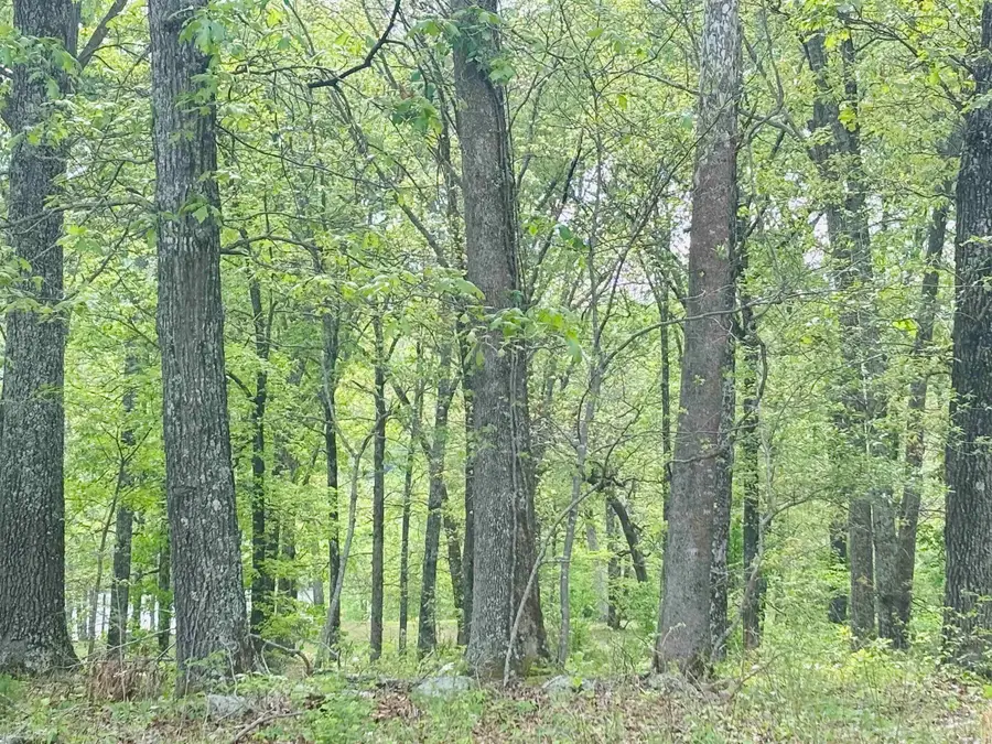 #3