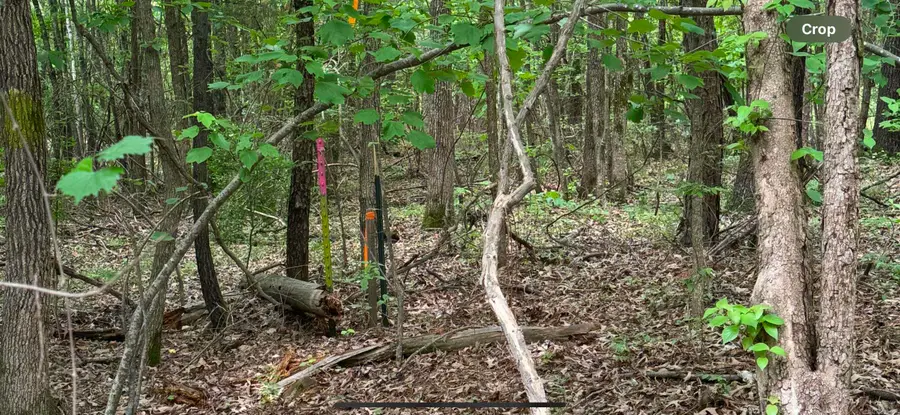 #3