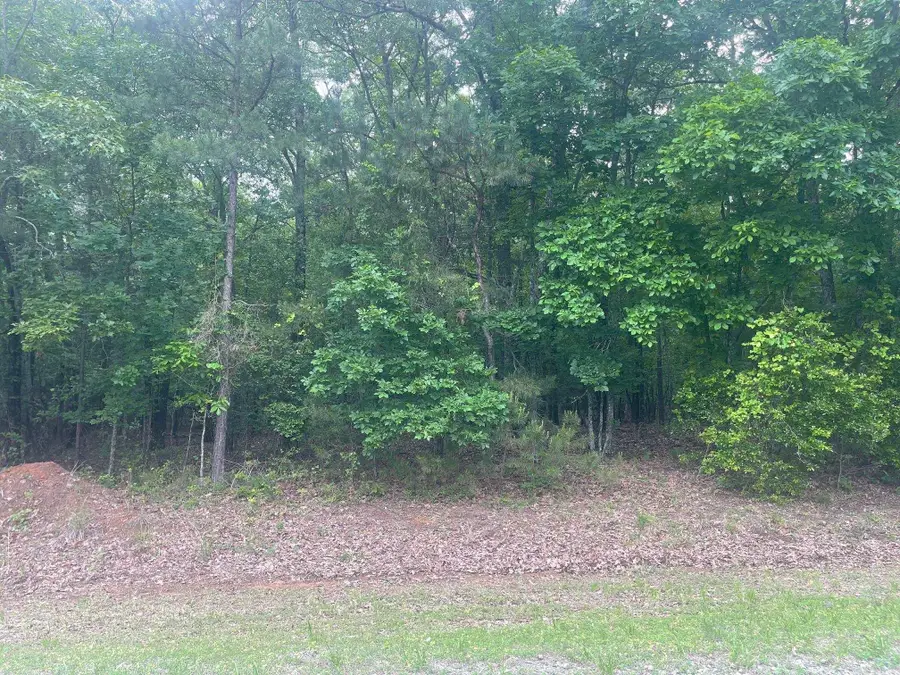 Blk12Lot124-128 Grand Isle Drive, Fairfield Bay, AR 72088 - Image #2