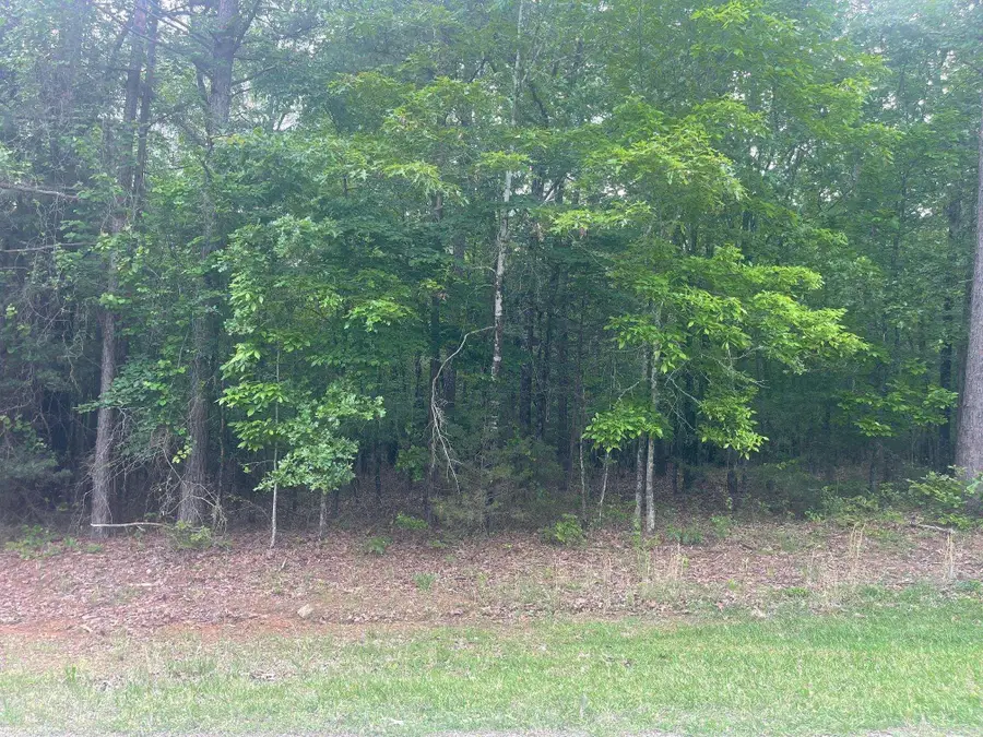 Blk12Lot124-128 Grand Isle Drive, Fairfield Bay, AR 72088 - Image #3