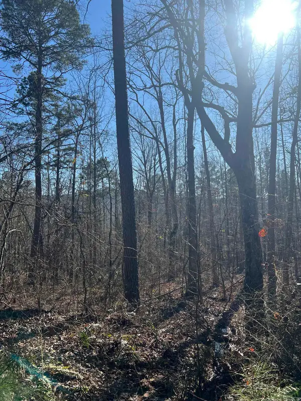 00 Peyton Creek Road, Dennard, AR 72629