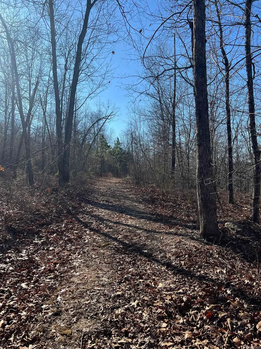 00 Peyton Creek Road, Dennard, AR 72629 - Image #2