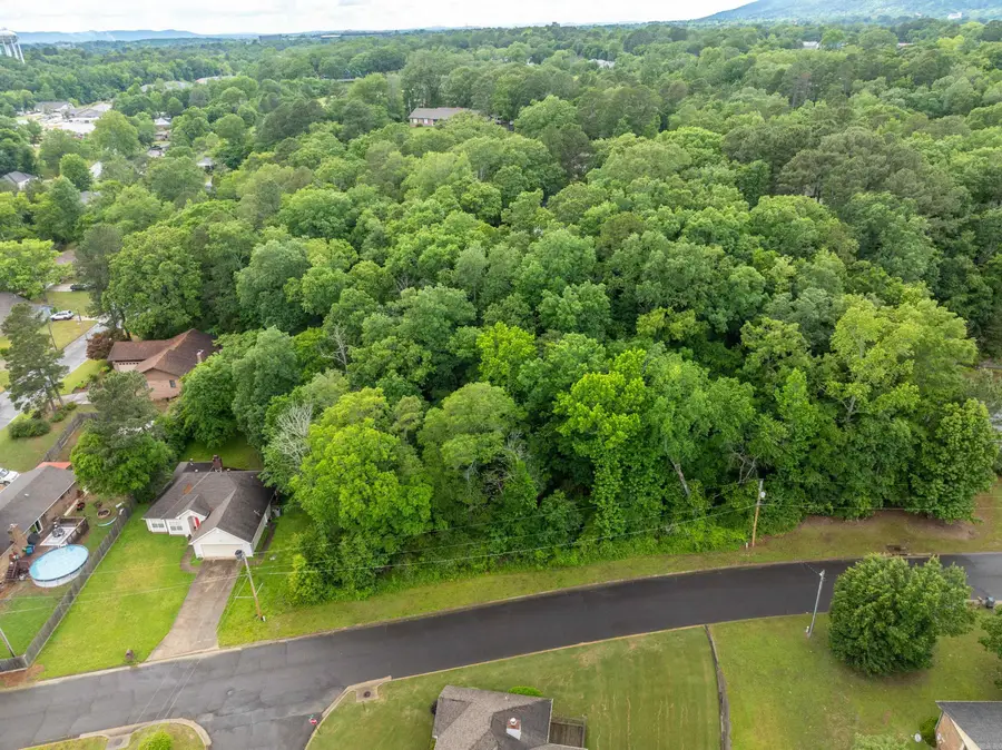 Lots 12 & 13 Apache Street, Hot Springs, AR 71901 - Image #2
