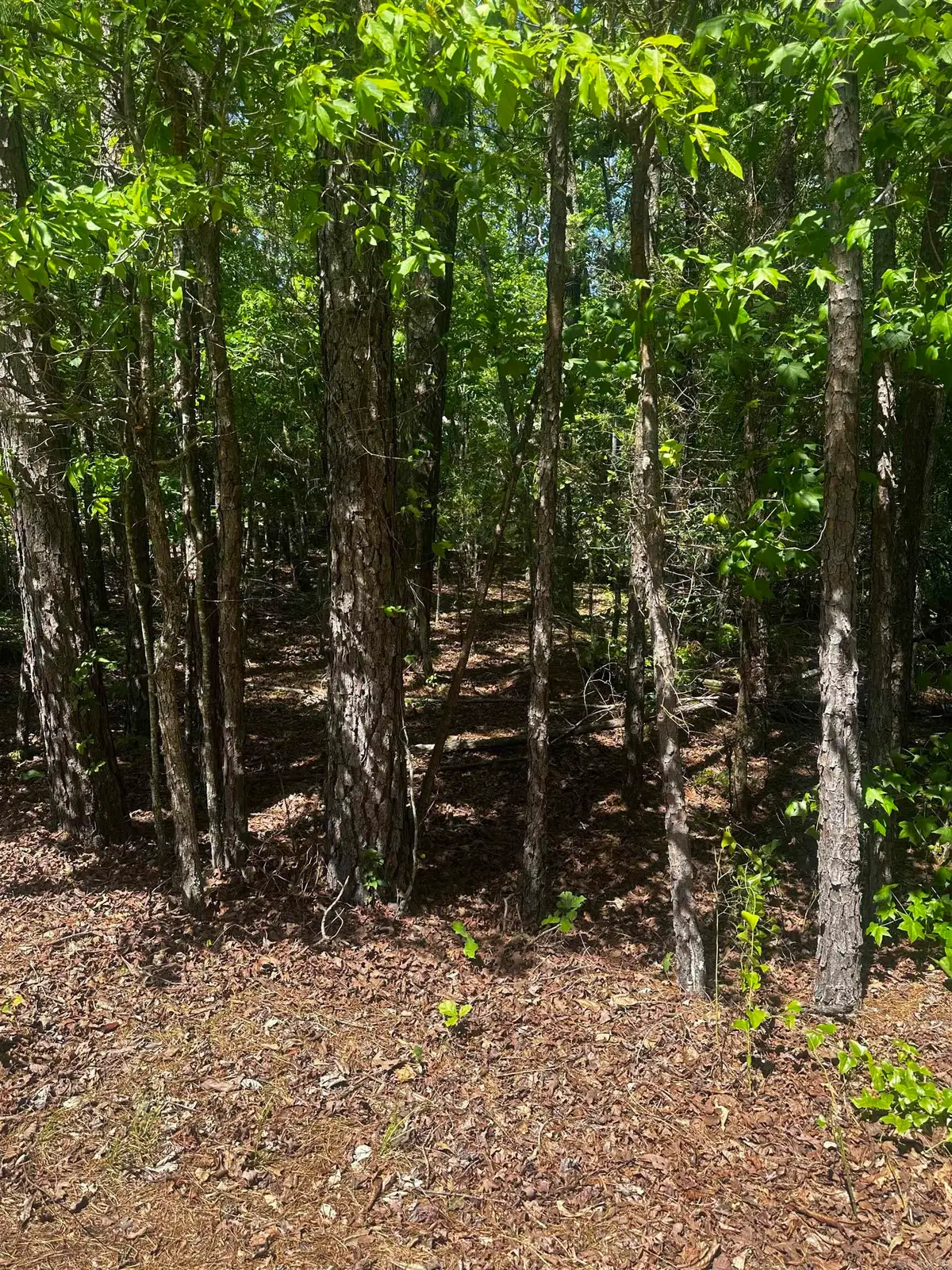 23 Andorra Circle, Hot Springs Village, AR 71909 - Image #1