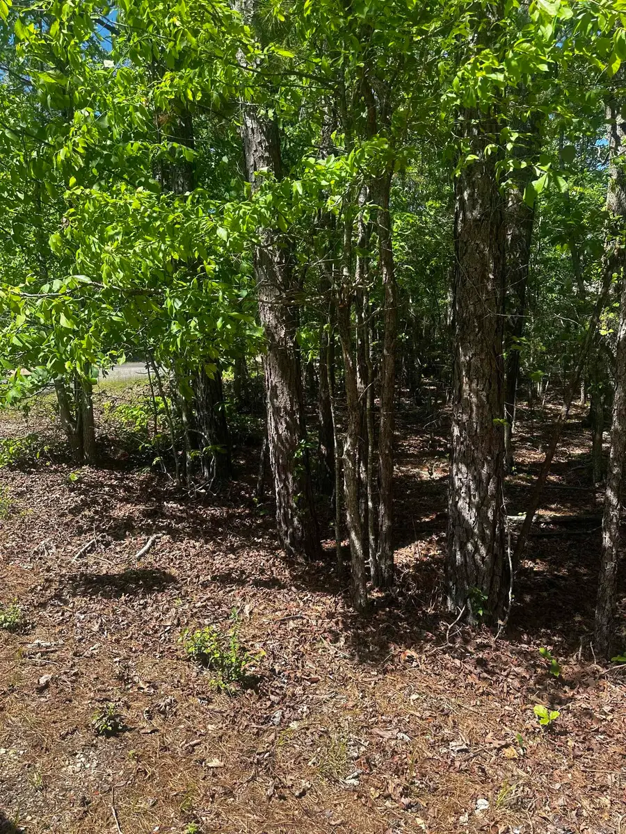 23 Andorra Circle, Hot Springs Village, AR 71909 - Image #2