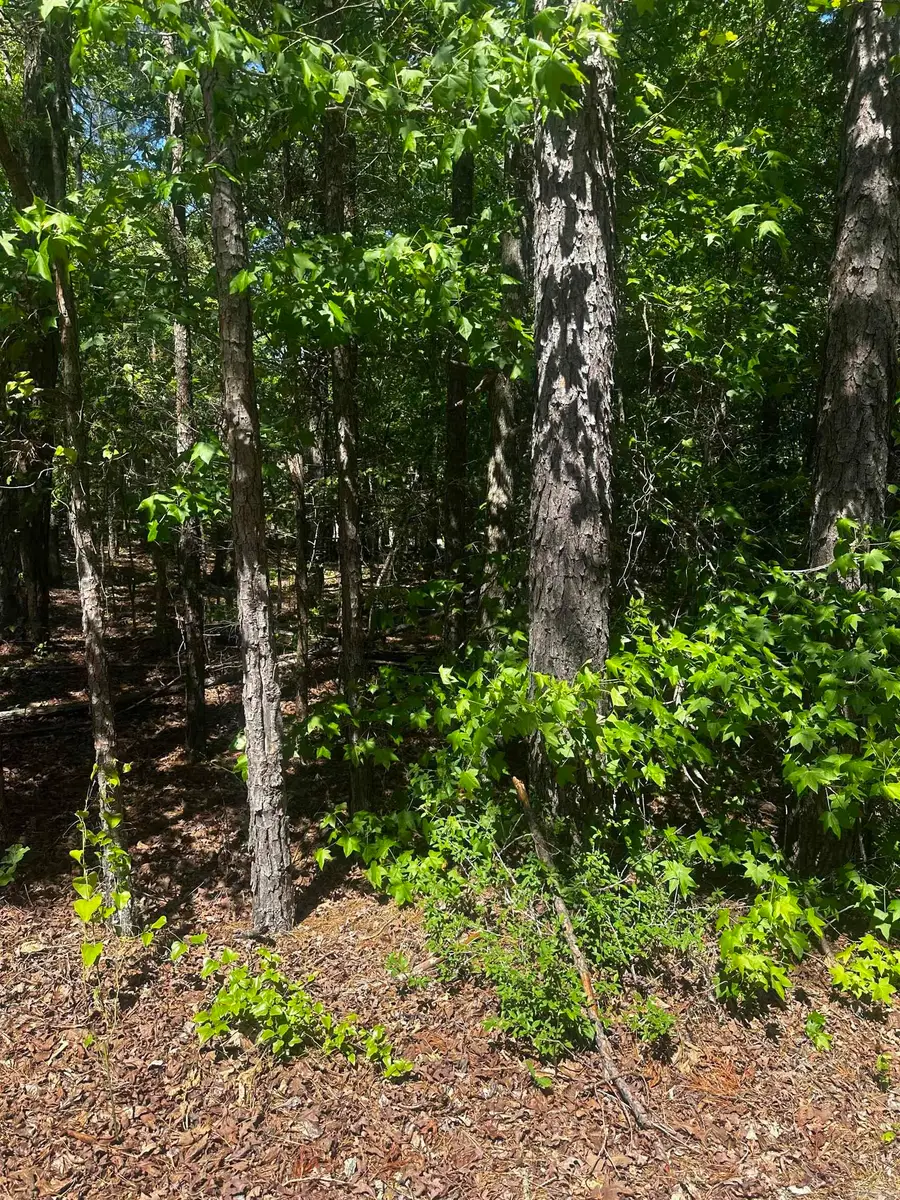 23 Andorra Circle, Hot Springs Village, AR 71909 - Image #3