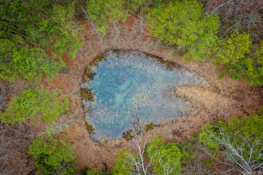 Lot 5 Florence Road, Edgemont, AR 72044 - Image #2