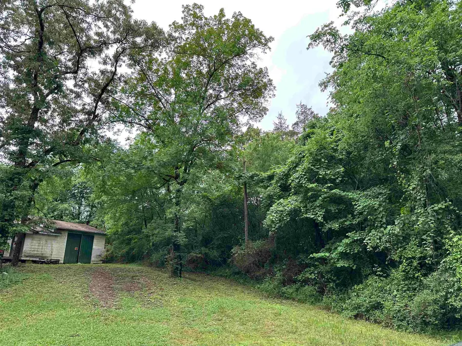 2748 Malvern Avenue, Hot Springs, AR 71901 - Image #2