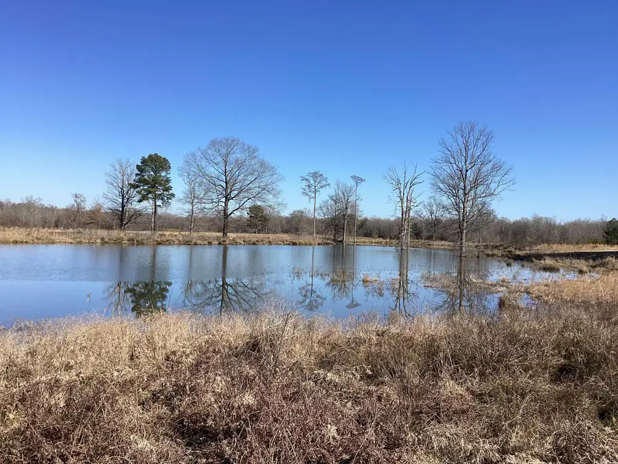 County Road 41, Prescott, AR 71857 - Image #2