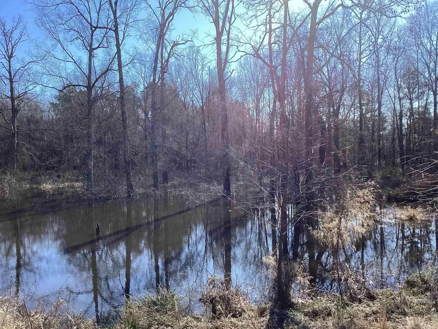 County Road 41, Prescott, AR 71857 - Image #3