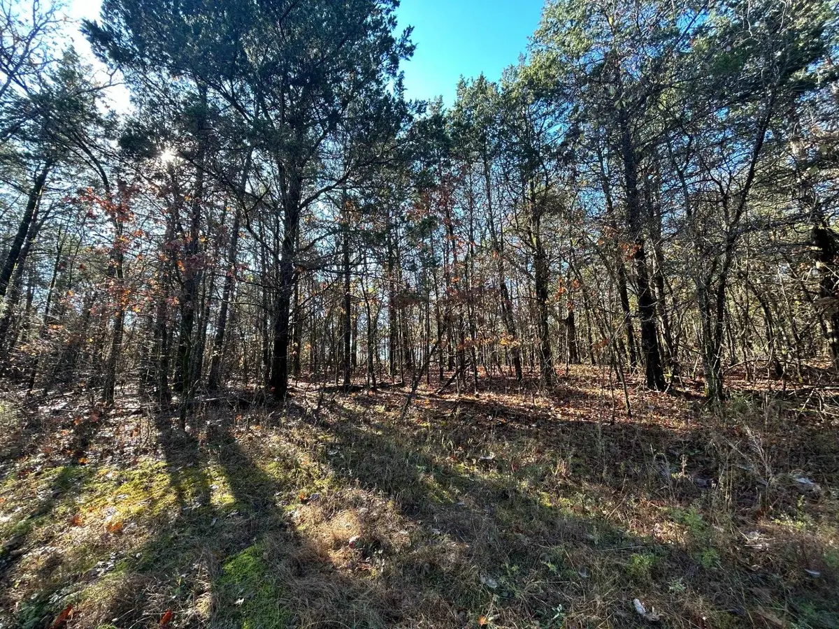 20 Acres Persimmon Point Road, Lead Hill, AR 72644 - Image #1