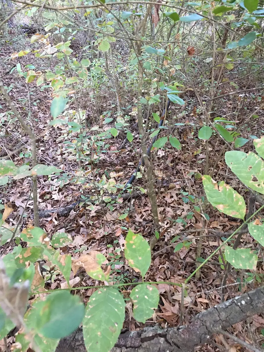 Address Withheld By Seller, Jacksonville, AR 72076 - Image #3