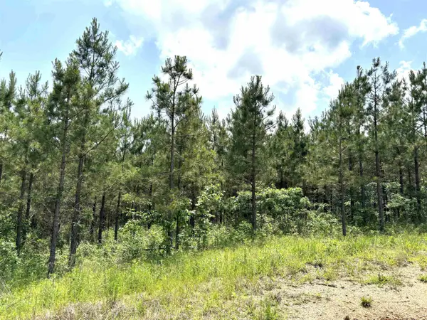 lot 27 Grant County Road 763, Sheridan, AR 72150