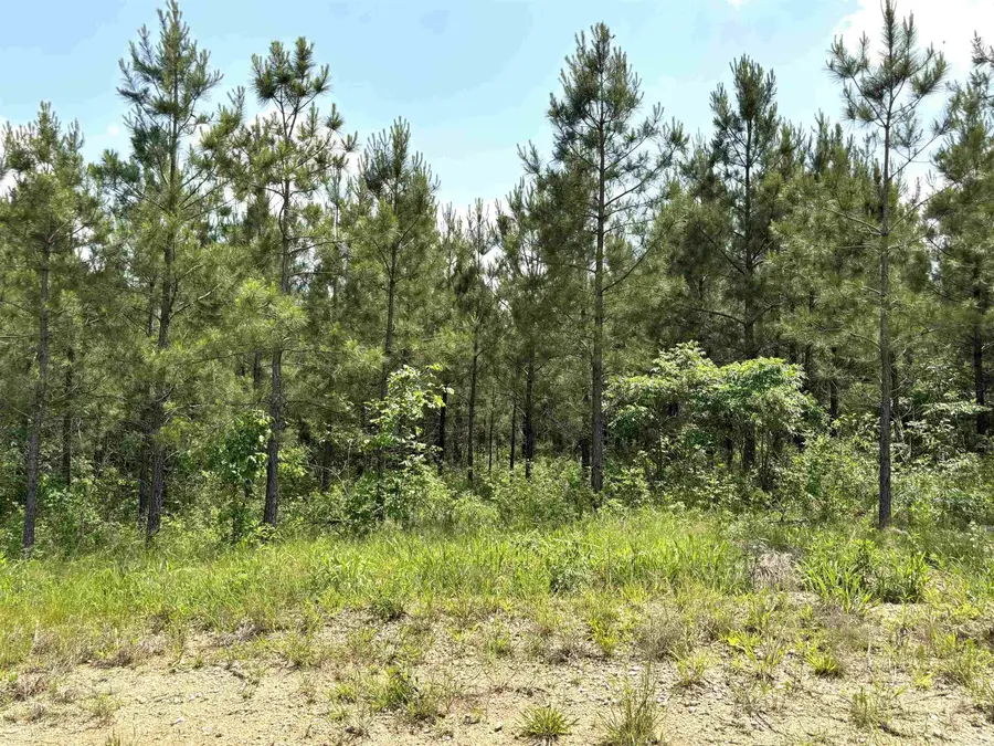 lot 27 Grant County Road 763, Sheridan, AR 72150 - Image #2