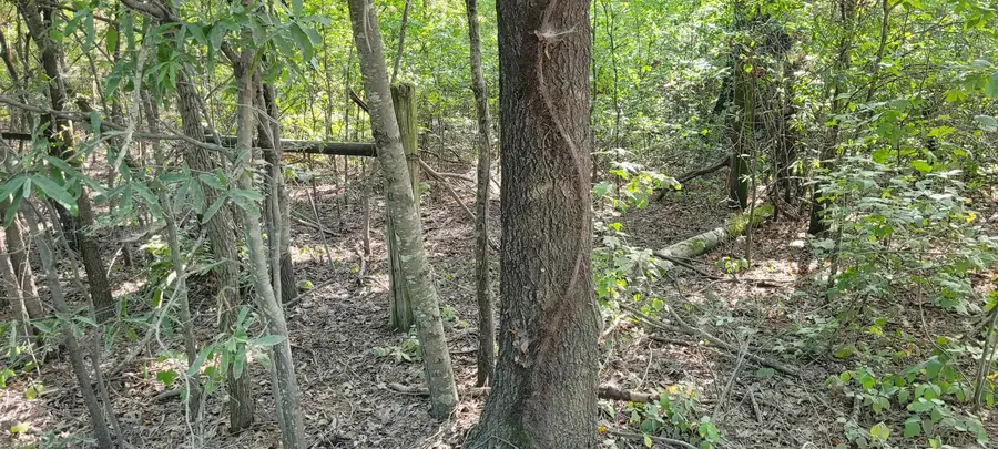 #3
