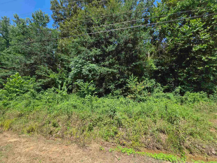 900 Cr 1651, Knoxville, AR 72845 - #3