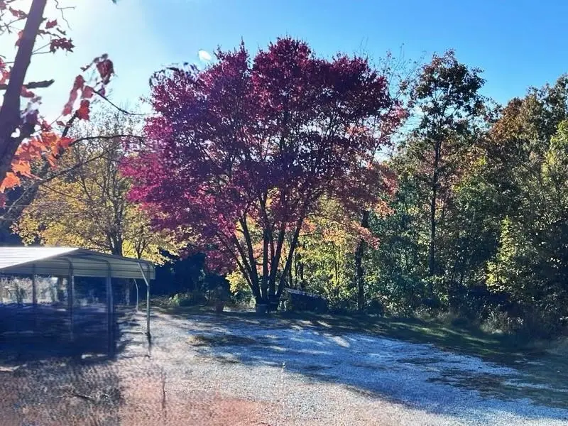 21119 N Hwy 5, Mountain View, AR 72560 - Image #3