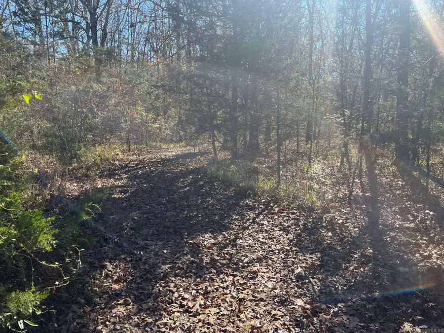 TBD Geyer Dr, Mena, AR 71953 - Image #2