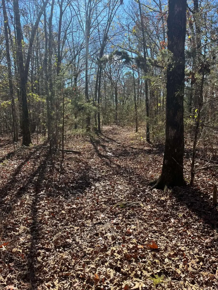 TBD Geyer Dr, Mena, AR 71953 - Image #3