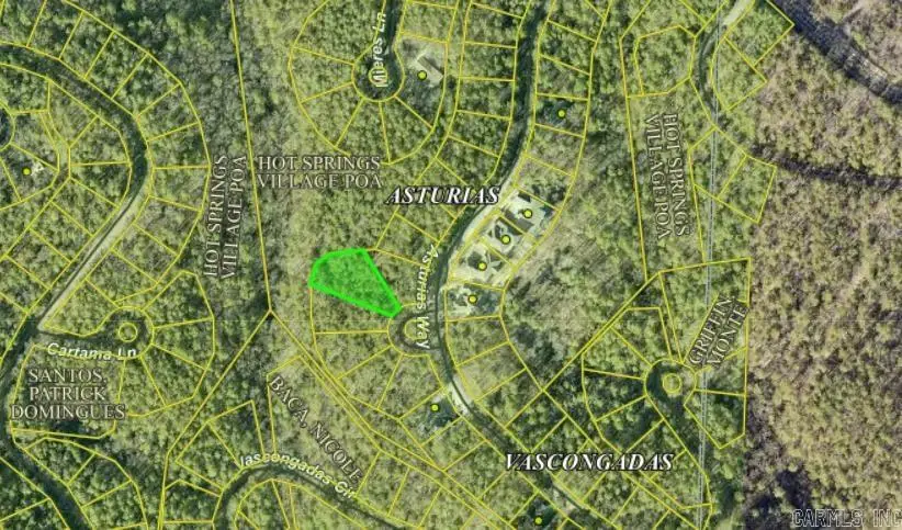 26 Asturias Pl, Hot Springs Village, AR 71909 - #1