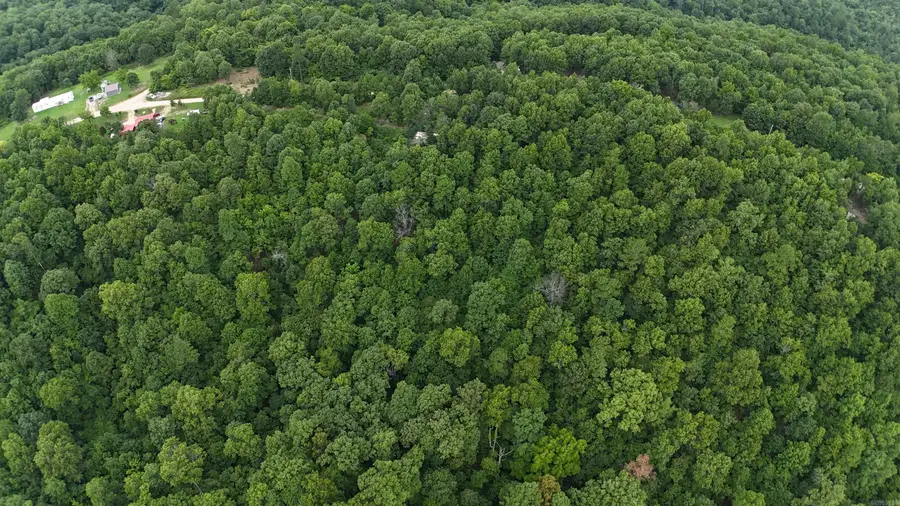 1267 Brushy Fork, Yellville, AR 72687 - #3