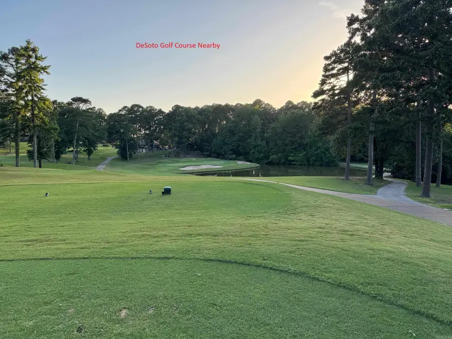 6 Alava Way, Hot Springs Village, AR 71909 - Image #3